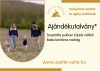 1 nem cipzáros szoptatós pulóver és 1 baba kantáros nadrág (Foxpost szállítással)