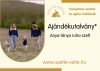 Anya-lánya ruha szett - anyukának szoptatós változat (Foxpost szállítással)