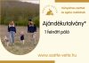 1 felnőtt póló (Foxpost szállítással)
