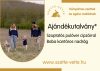  1 cipzáros szoptatós pulóver és 1 baba kantáros nadrág (Foxpost szállítással)