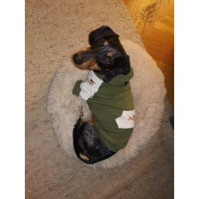 Kapucnis kutya pulcsi nagytestű kutyáknak (L-XXL)