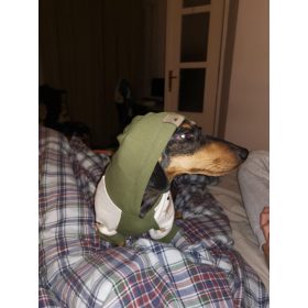 Kapucnis kutya pulcsi nagytestű kutyáknak (L-XXL)