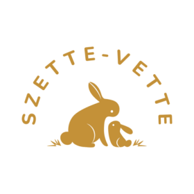   100% merinó női raglán póló (kismama és szoptatós verzió is elérhető)